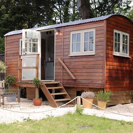 Cobo Cottage 奇切斯特 外观 照片